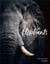 Les éléphants - puissants et délicats