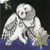 The magnolia electric co