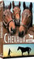 Les Chevaux - Saison 2