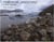 Feodor pitcairn primordial landscapes