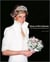 Diana : a life in dresses