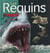 Les requins