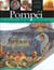 Pompei - vie et destruction d'une cite romaine
