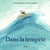 dans la tempete