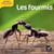 LES DOCS RIBAMBELLE : les fourmis - cycle 2