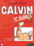 Calvin et Hobbes : Intégrale vol.10 : Tomes 20 et 21