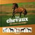 Les chevaux - 78 races à la loupe