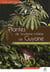 Guide expert : Plantes de la plaine côtière de Guyane : savanes, bords de mer, marais et lisières forestières