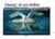OISEAUX DE NOS RIVIERES ET PLANS D'EAU