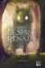 À la recherche de l'esprit renard Tome 1 : Albans