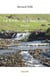 La riviere aux tourbieres - irlande