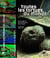 Toutes les tortues du monde