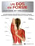 Un dos en forme - anatomie et mouvements