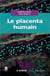 Le placenta humain