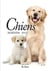 Agenda 2015 - chiens