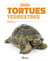 Tortues terrestres - testudo sp., geochelone sp.