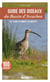 Guide des oiseaux du bassin d'Arcachon : où, quand et comment les observer