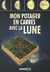 Mon Potager En Carres Avec La Lune