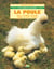 Poule (la)