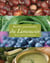 Recettes gourmandes du Limousin