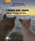 L'école des chats Tome 5 : la montagne des âmes
