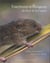 Insectivores et rongeurs du sud de la France