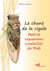 Le chant de la cigale - mots et expressions ensoleillés du Languedoc