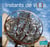 Instants de vi(ll)e