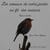 Les oiseaux de notre jardin