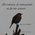 Les oiseaux de notre jardin