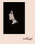 Collage : women of the prix Pictet since 2008