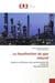 La liquefaction du gaz naturel : Etude et verification des performances de l'unite de decarbonatation