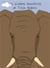 L'éléphant