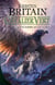 Cavalier vert Tome 6 : la flamme et la glace