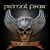 Metal Commando