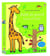 Coffret Petit et grand - Livre et toise - Les tout-doux Usborne