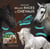 Les plus belles races de chevaux avec au galop ! une saison à cheval