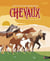 Tout ce qu'il faut savoir sur les chevaux