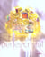 Grand livre des perles de cristal (le)