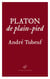 Platon de plain-pied