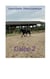 Galop 2