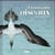 Étonnants oiseaux