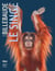 Billebaude n.23 : Le singe