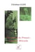 Un amour de Proust : Cléo de Mérode