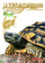 La tortue d'Hermann