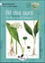 Ail des ours