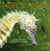 Hippocampes - une famille d'excentriques