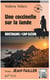 Une coccinelle sur la lande