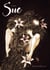 Suc Tome 1