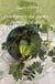 L'intelligence des plantes : mythe ou realite ?